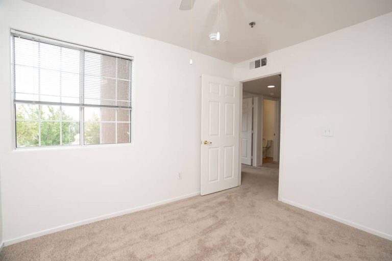 Master bedroom with oversized windows