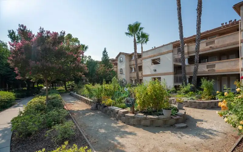 Resident community gardens at Carefree North Natomas in Sacramento